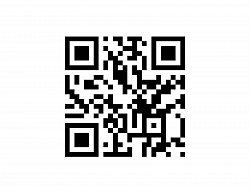 Scan the QR Code for effortless payment.